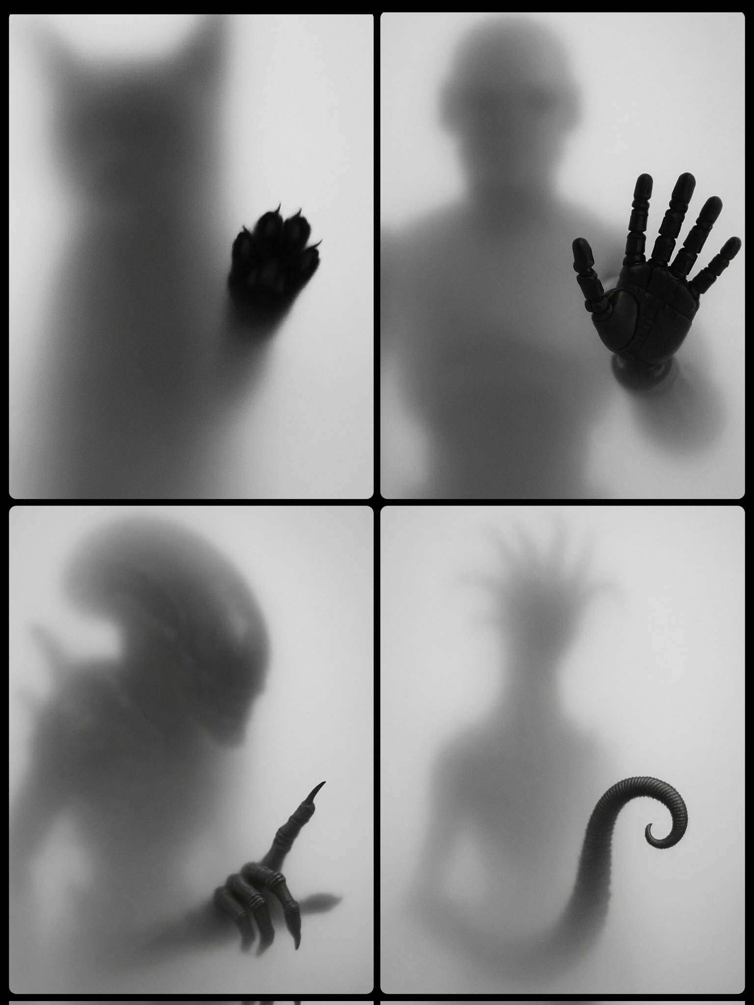 Mysterious Silhouette Behind Frosted Glass