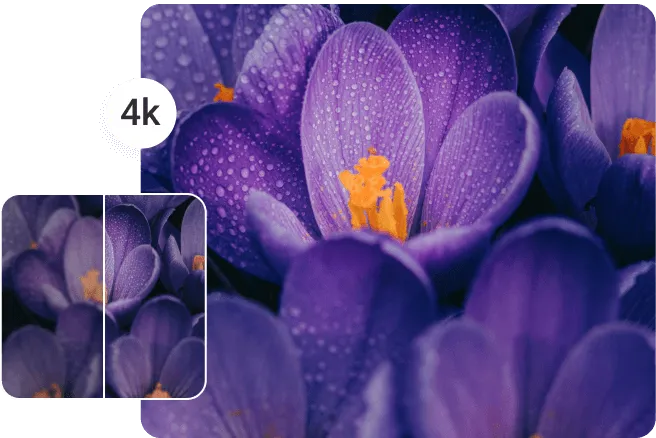 Dark photo brightened and enhanced with AI photo enhancer on Createimg.ai